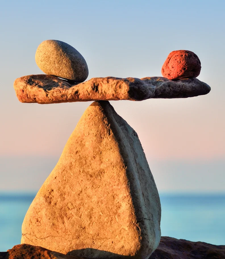 Wellness Care in Bellingham