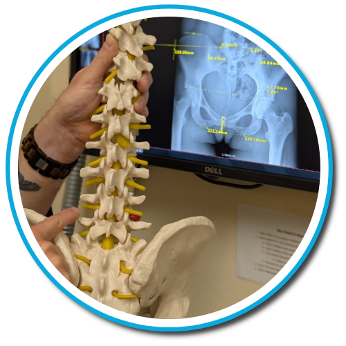 Gonstead Visualization
